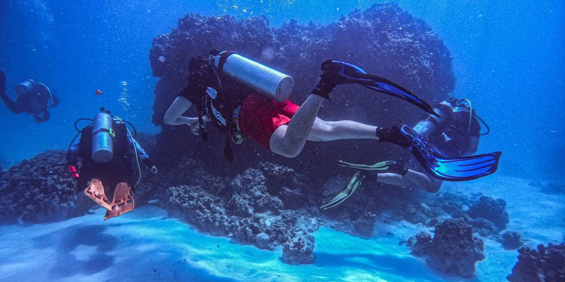 Buzos sobre un arrecife, en agua azul