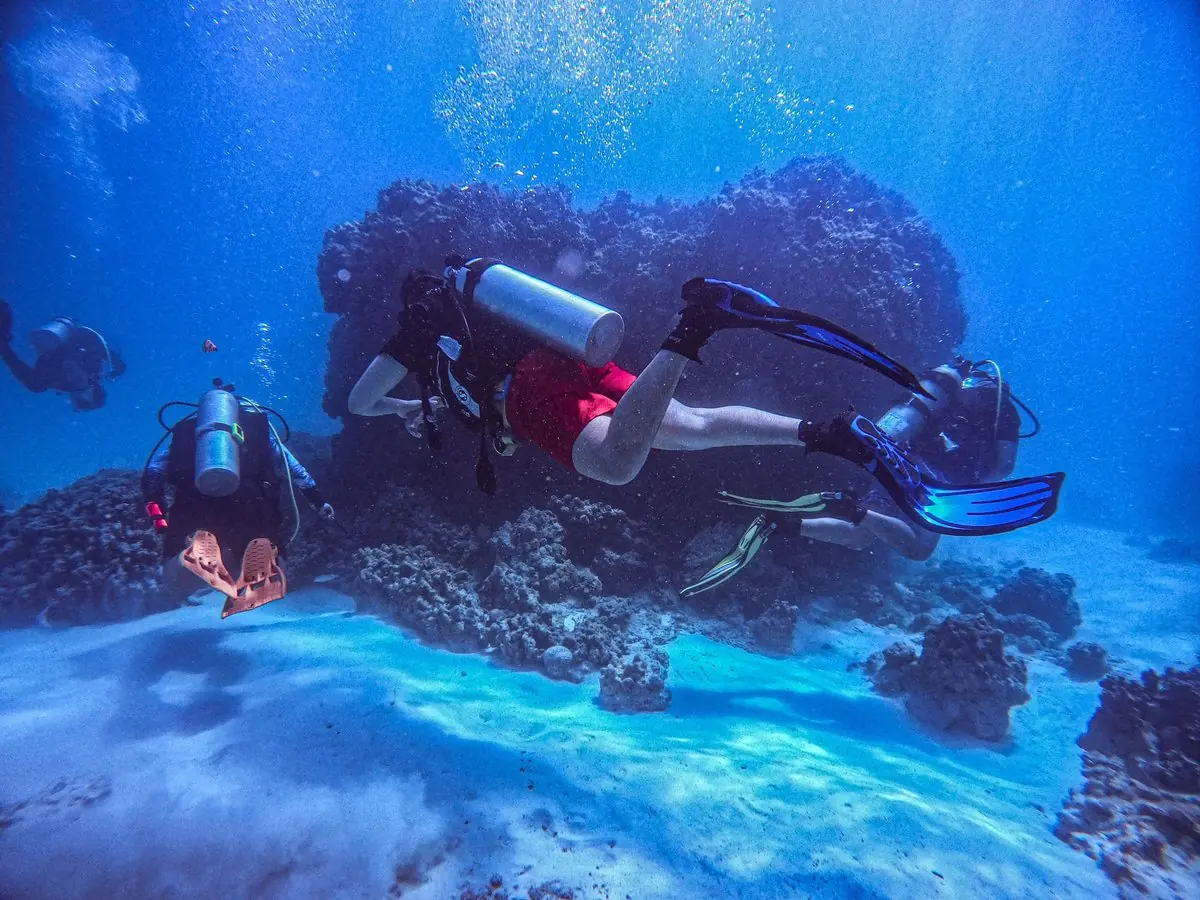 Buzos sobre el arrecife en agua azul