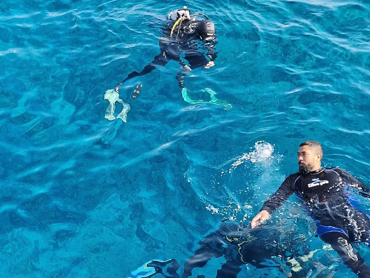 Buzos en el azul del mar, vistos desde arriba