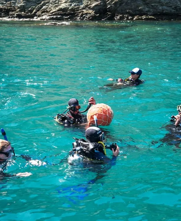 Buzos en la superficie, en agua turquesa junto a las rocas