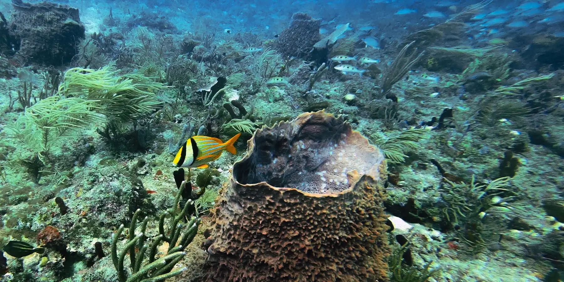 Una lancha fondeada junto a las rocas en agua turquesa