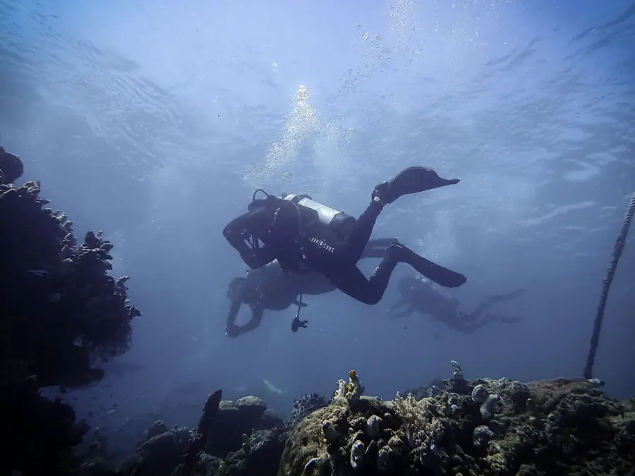 Un buzo sobre el arrecife, visto de costado